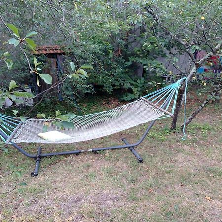 Appart Independant, 1 Lit Deux Personnes Et 1 Appoint Piscine Jardin Direct Gare Aeroport Et Jardin Toulouse Exterior photo