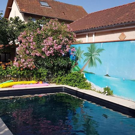 Appart Independant, 1 Lit Deux Personnes Et 1 Appoint Piscine Jardin Direct Gare Aeroport Et Jardin Toulouse Exterior photo