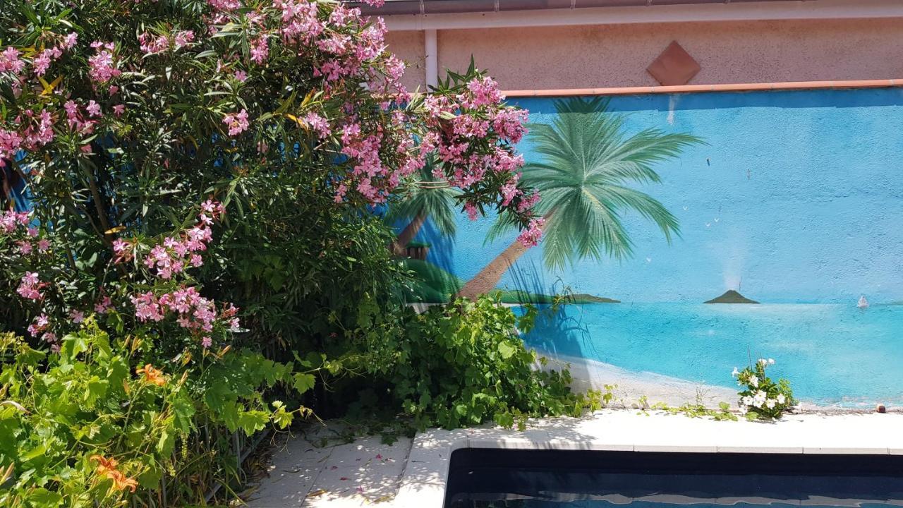Appart Independant, 1 Lit Deux Personnes Et 1 Appoint Piscine Jardin Direct Gare Aeroport Et Jardin Toulouse Exterior photo