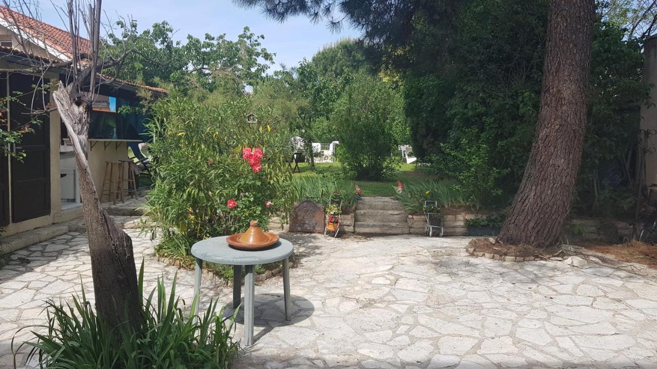 Appart Independant, 1 Lit Deux Personnes Et 1 Appoint Piscine Jardin Direct Gare Aeroport Et Jardin Toulouse Exterior photo