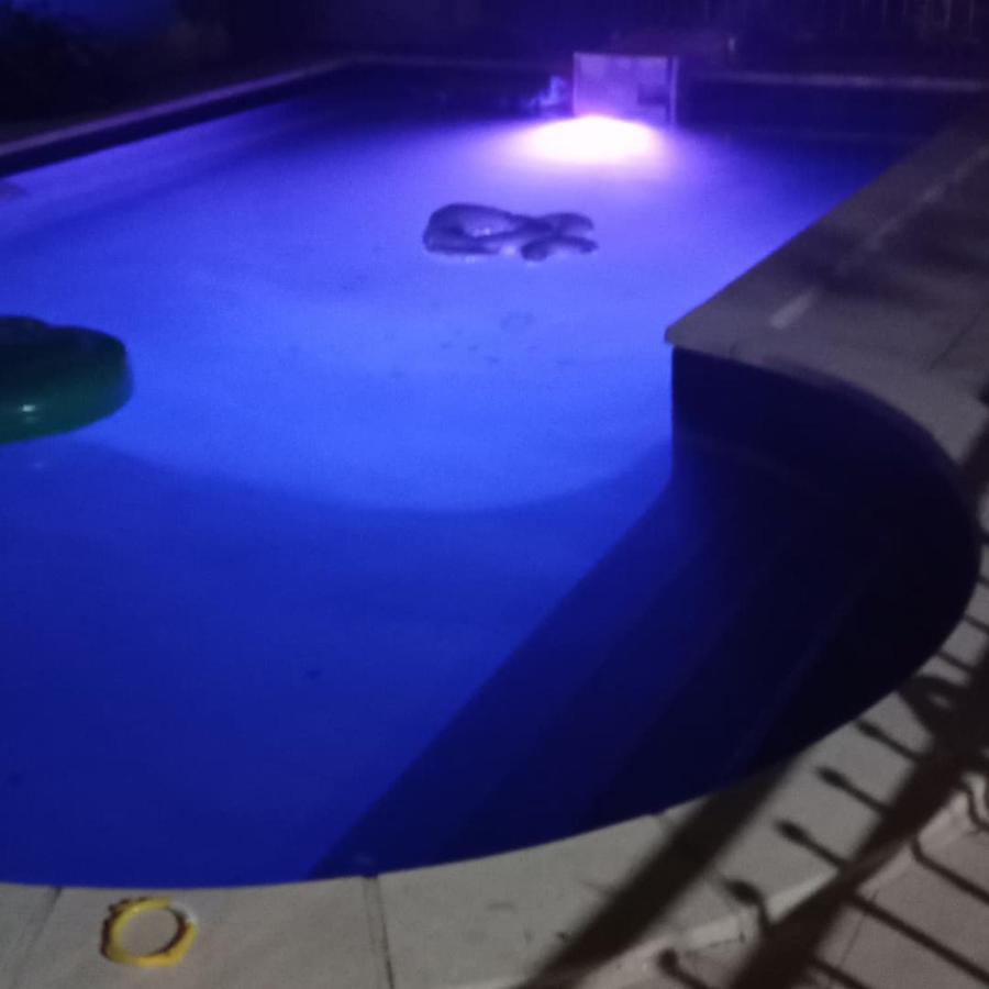 Appart Independant, 1 Lit Deux Personnes Et 1 Appoint Piscine Jardin Direct Gare Aeroport Et Jardin Toulouse Exterior photo